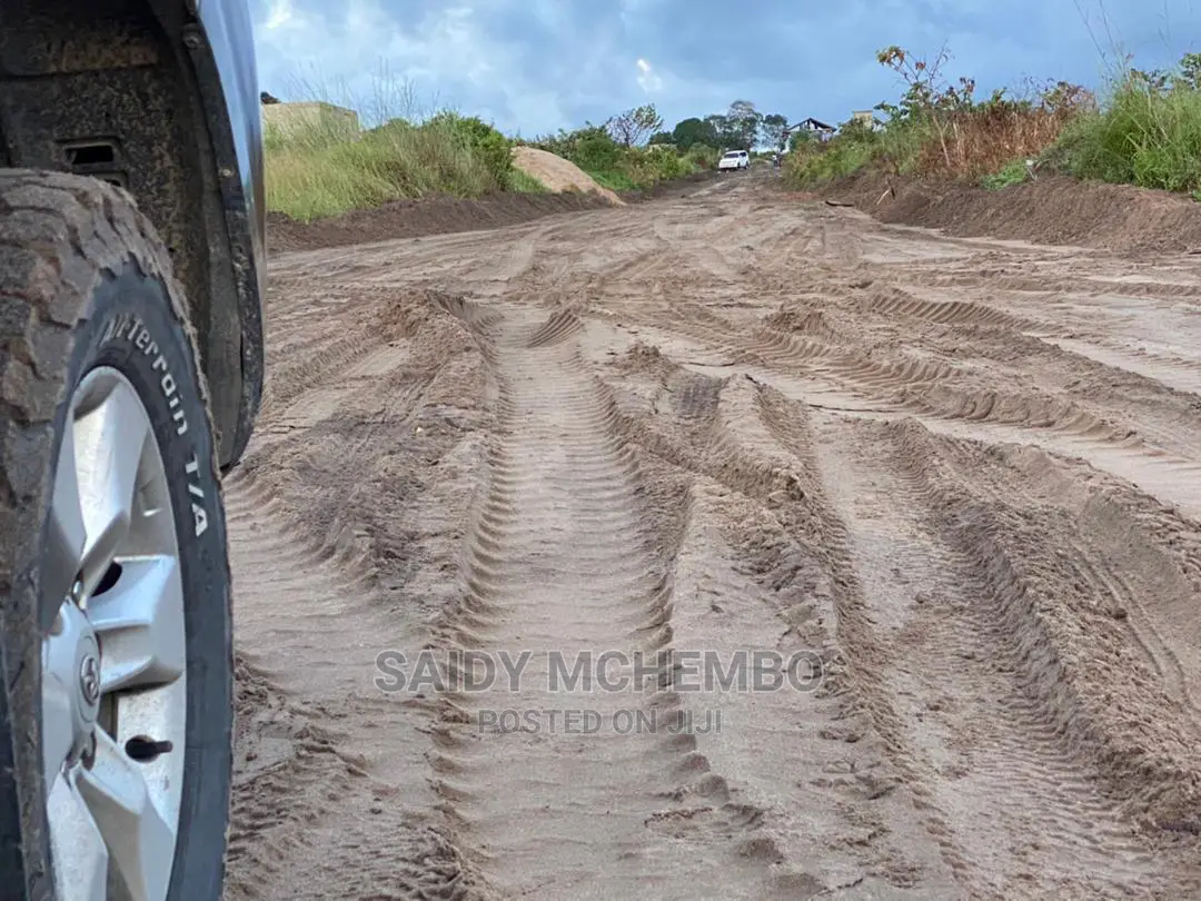 Viwanja Kisemvule Forodhani City