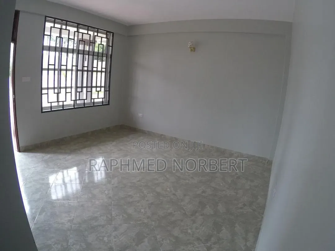 2bdrm Apartment in Tanzania Real, Central Business Area for rent