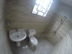 2bdrm Apartment in Tanzania Real, Central Business Area for rent
