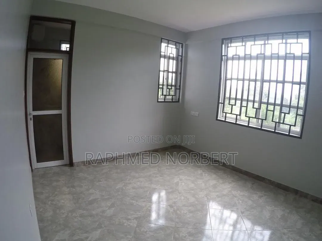 2bdrm Apartment in Tanzania Real, Central Business Area for rent