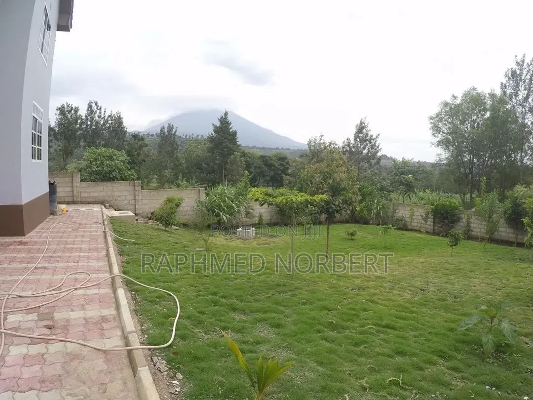 2bdrm Apartment in Tanzania Real, Central Business Area for rent
