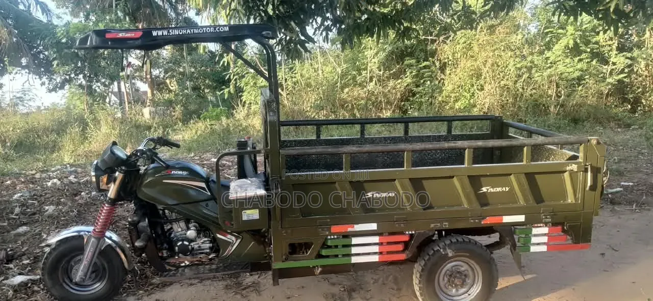 SINORAY SR250-Q7 2026 Green