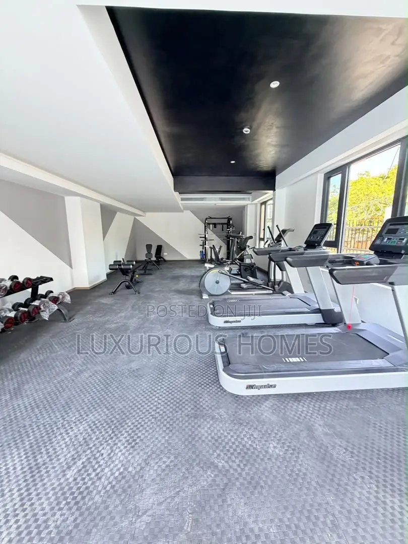Furnished 3bdrm Apartment in Masaki for rent