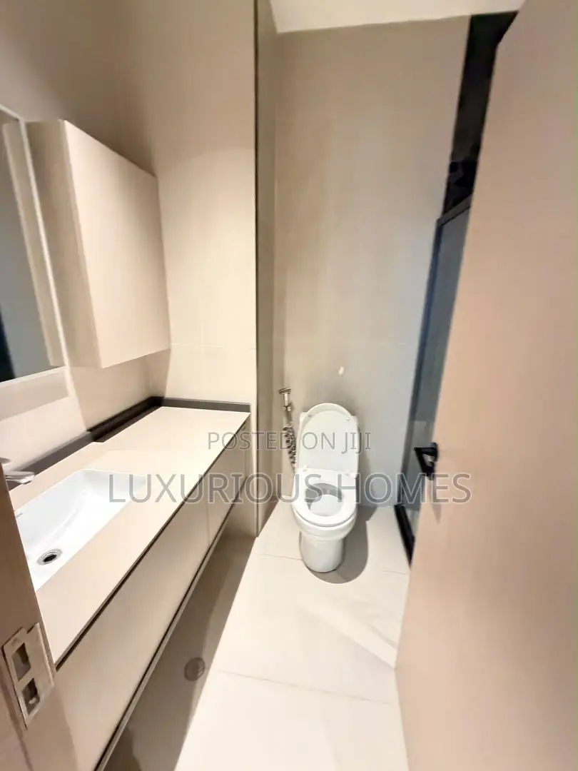 Furnished 3bdrm Apartment in Masaki for rent