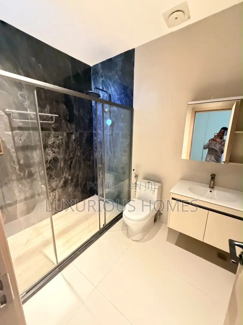Furnished 3bdrm Apartment in Masaki for rent