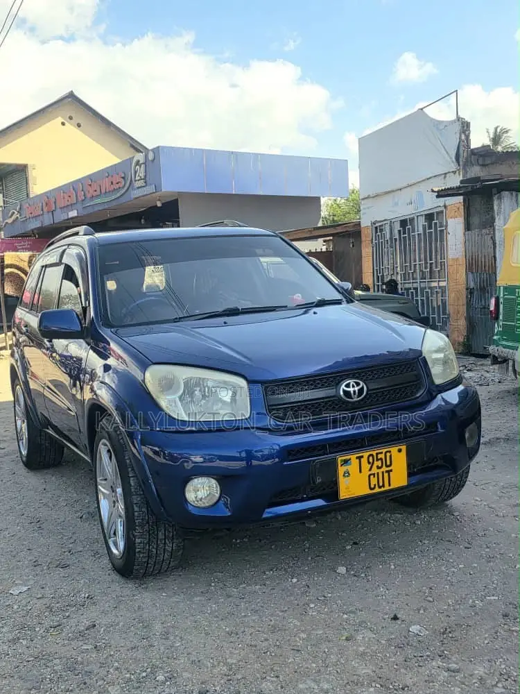 Toyota RAV4 2005 Blue