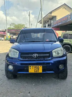 Toyota RAV4 2005 Blue