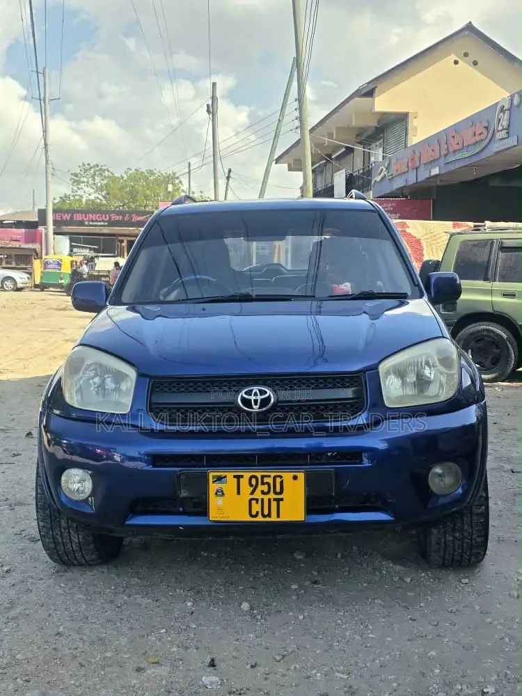 Toyota RAV4 2005 Blue