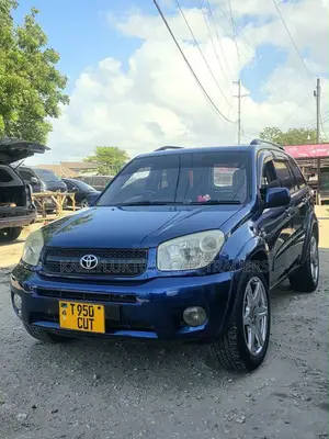 Toyota RAV4 2005 Blue