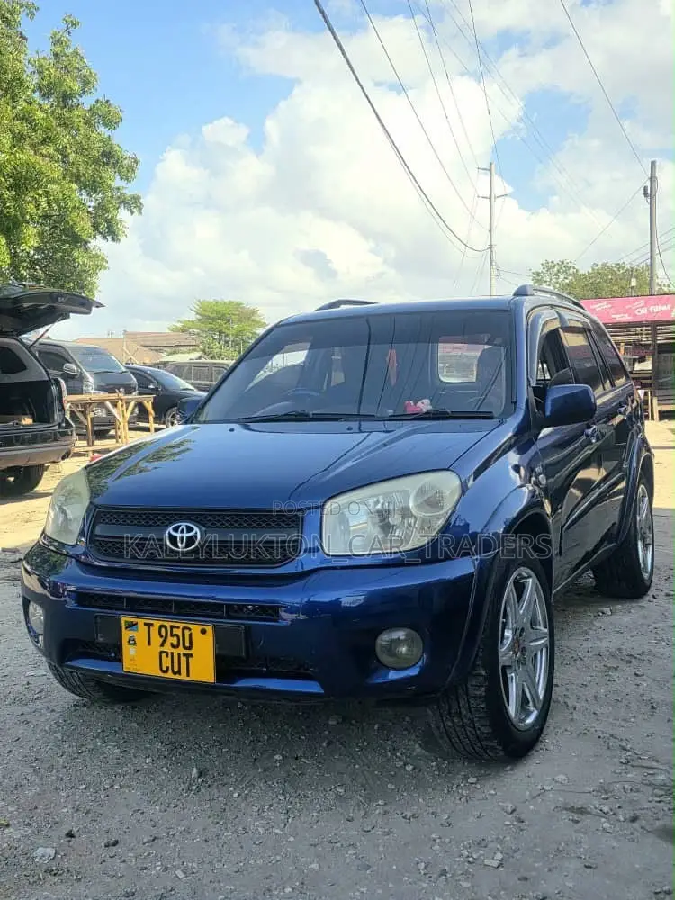 Toyota RAV4 2005 Blue