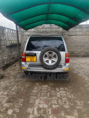 Suzuki Escudo 2002 Silver