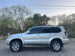 Toyota Land Cruiser Prado 2004 Silver