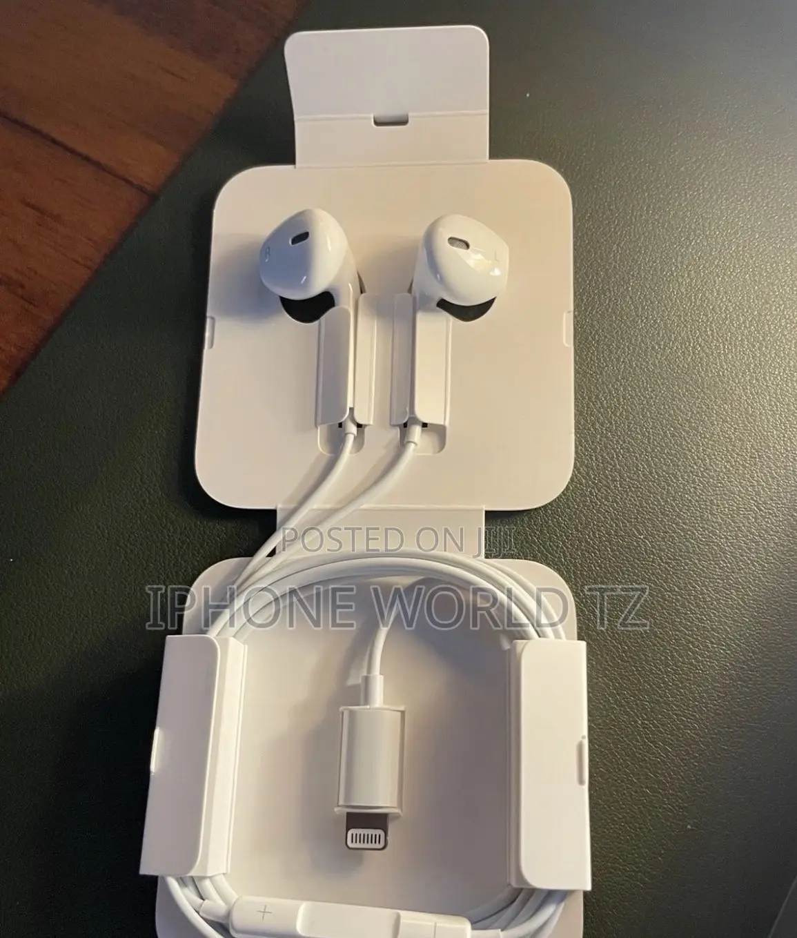 Apple Earphones