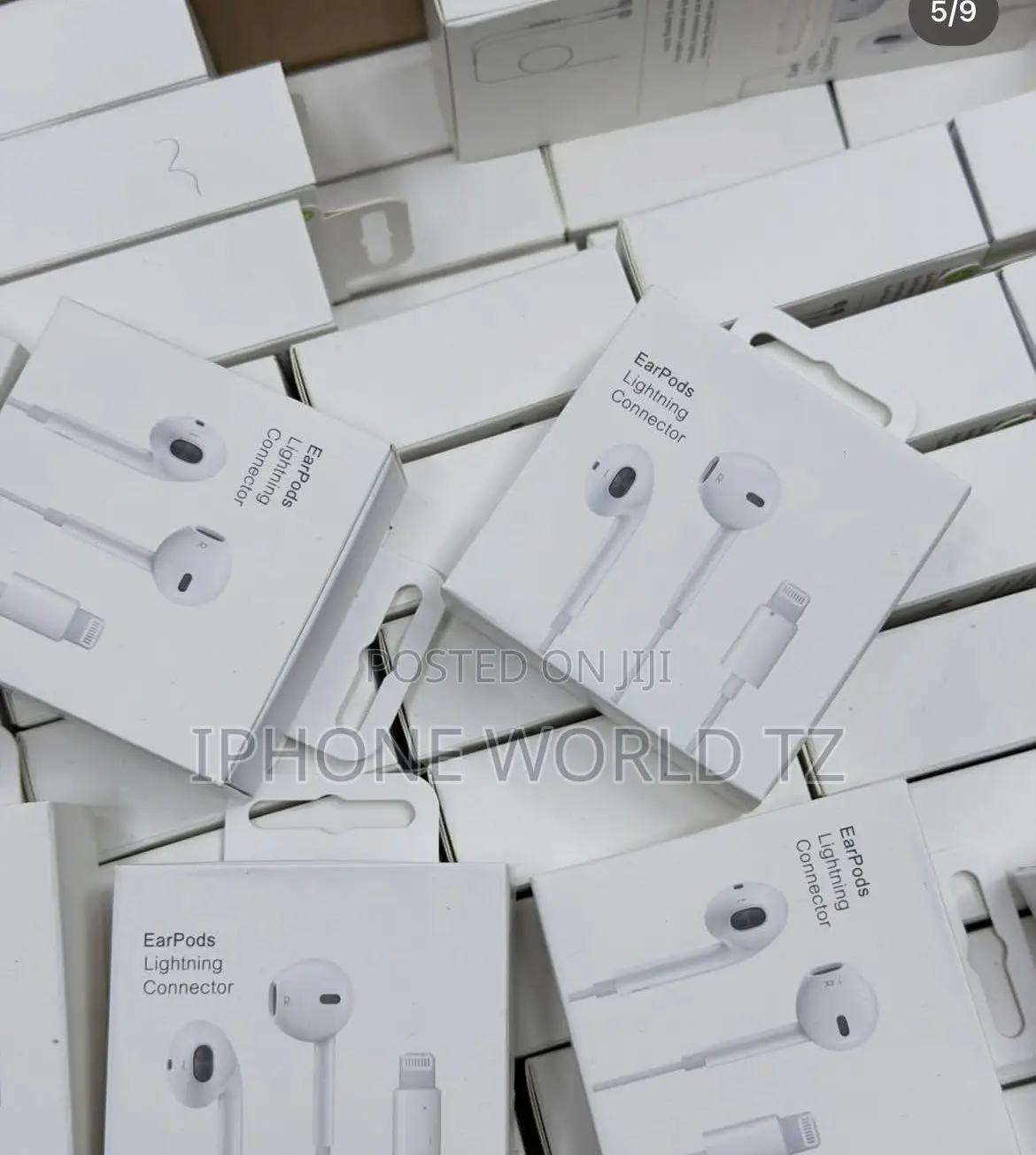 Apple Earphones
