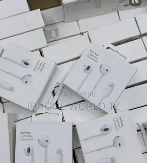 Apple Earphones