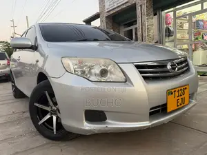 Toyota Axio 2009 Silver