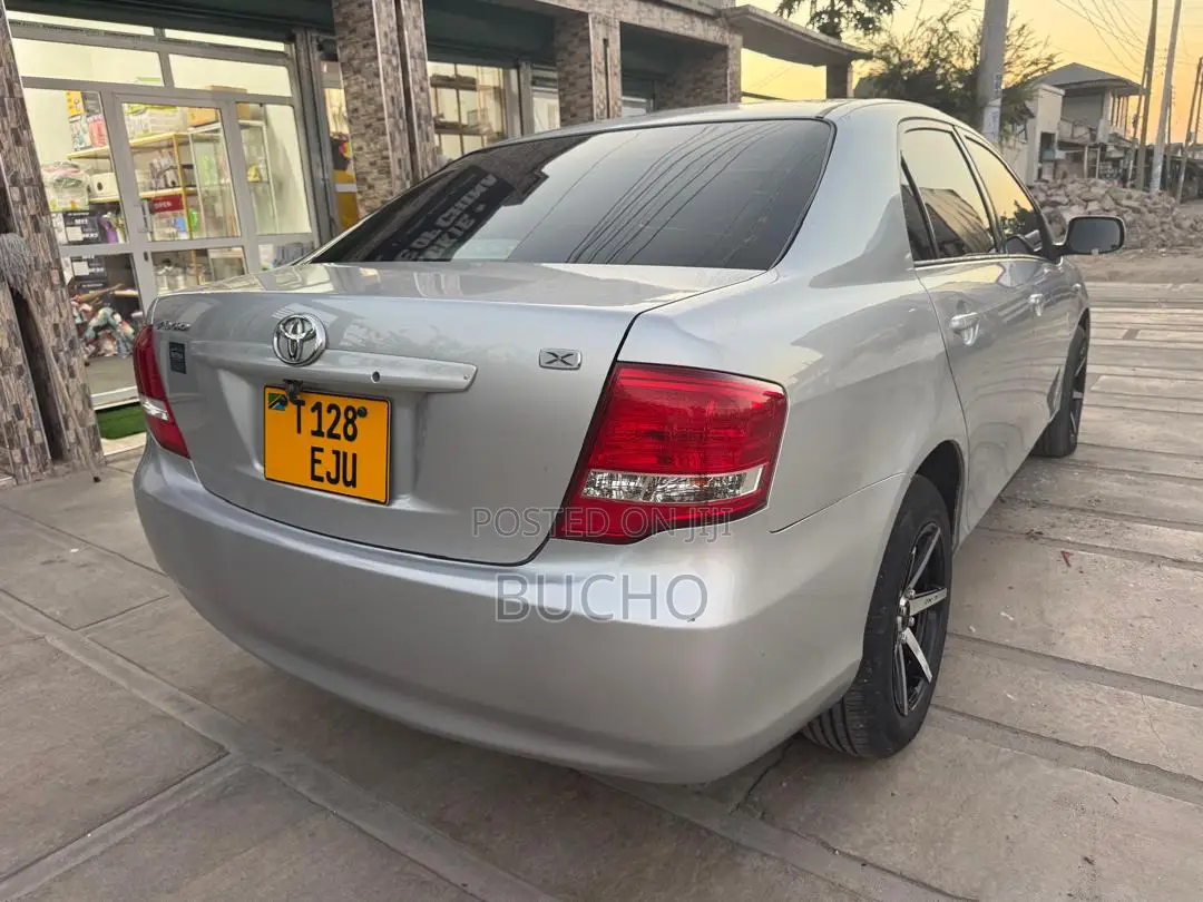 Toyota Axio 2009 Silver
