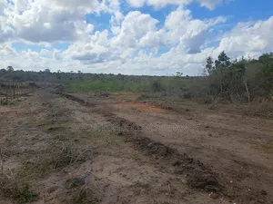 55 Acres of Farm Land for Sale at Mkenge Pwani