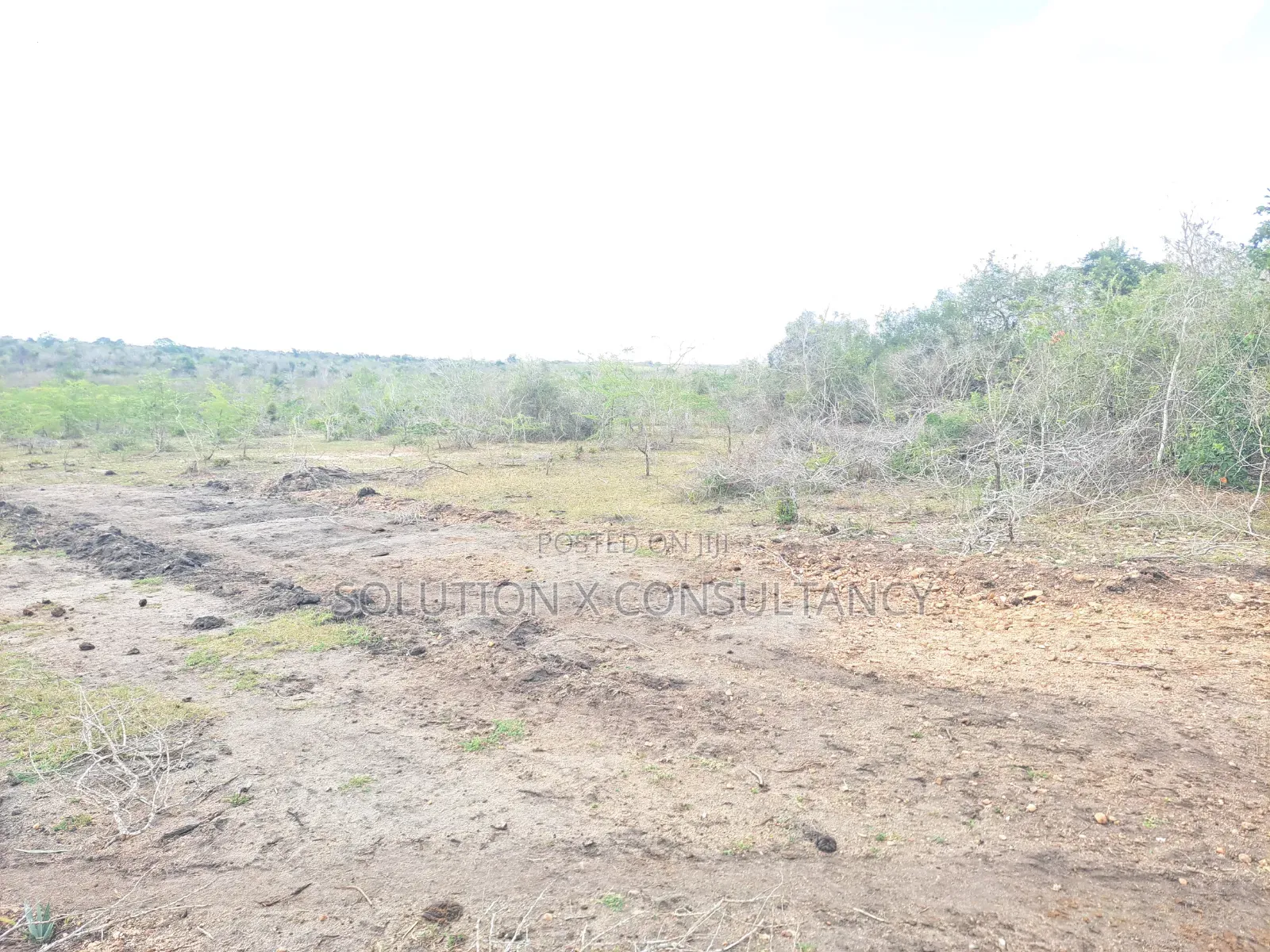 55 Acres of Farm Land for Sale at Mkenge Pwani