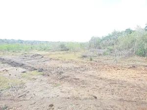 55 Acres of Farm Land for Sale at Mkenge Pwani
