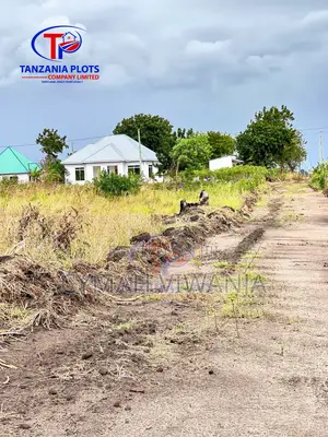 Kigamboni Puna