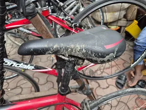 Road Bike on Sale