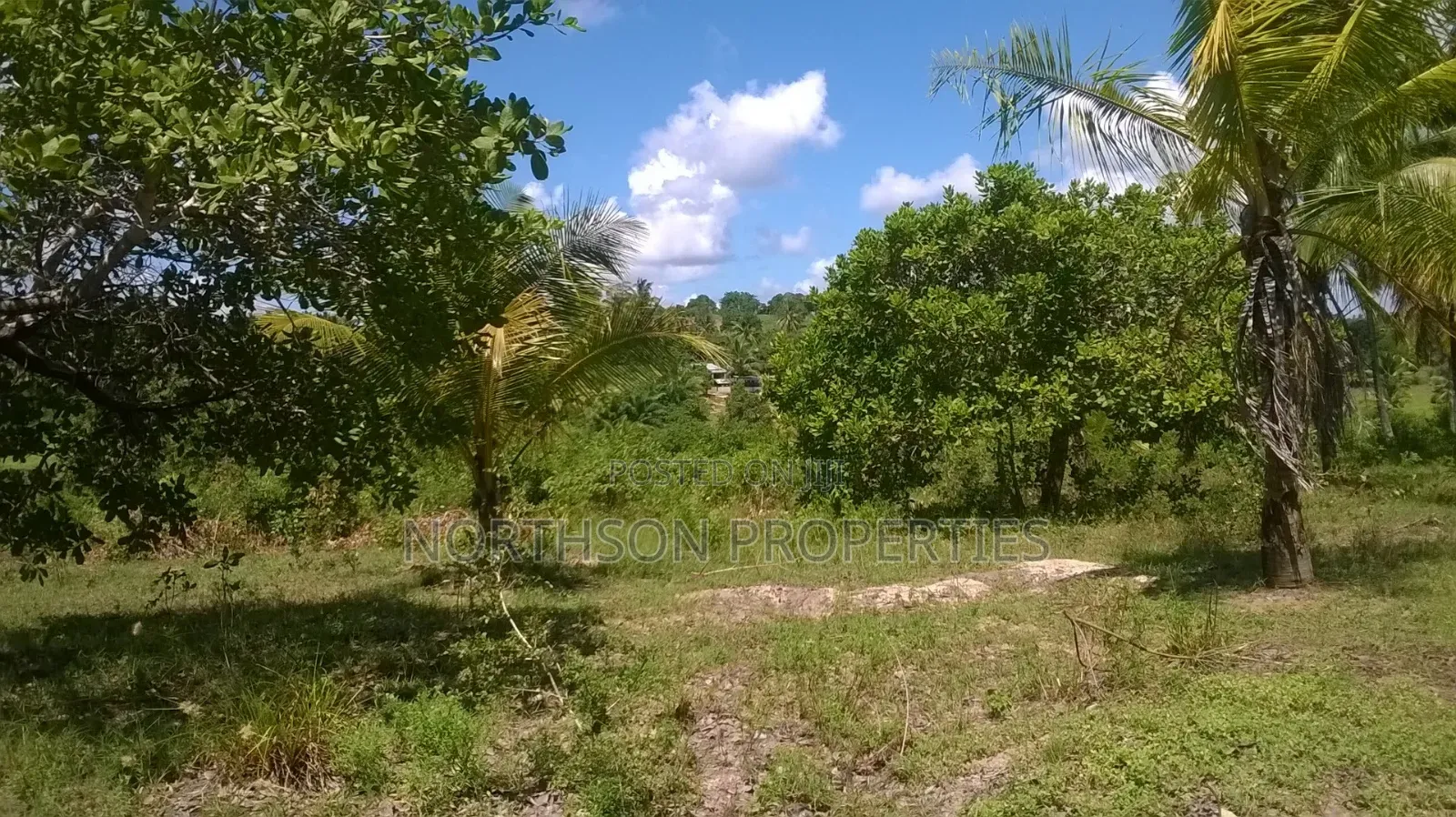 Kiwanja Karibu Ya Beach