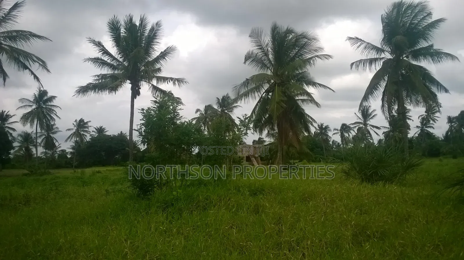 Kiwanja Karibu Ya Beach