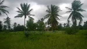 Kiwanja Karibu Ya Beach