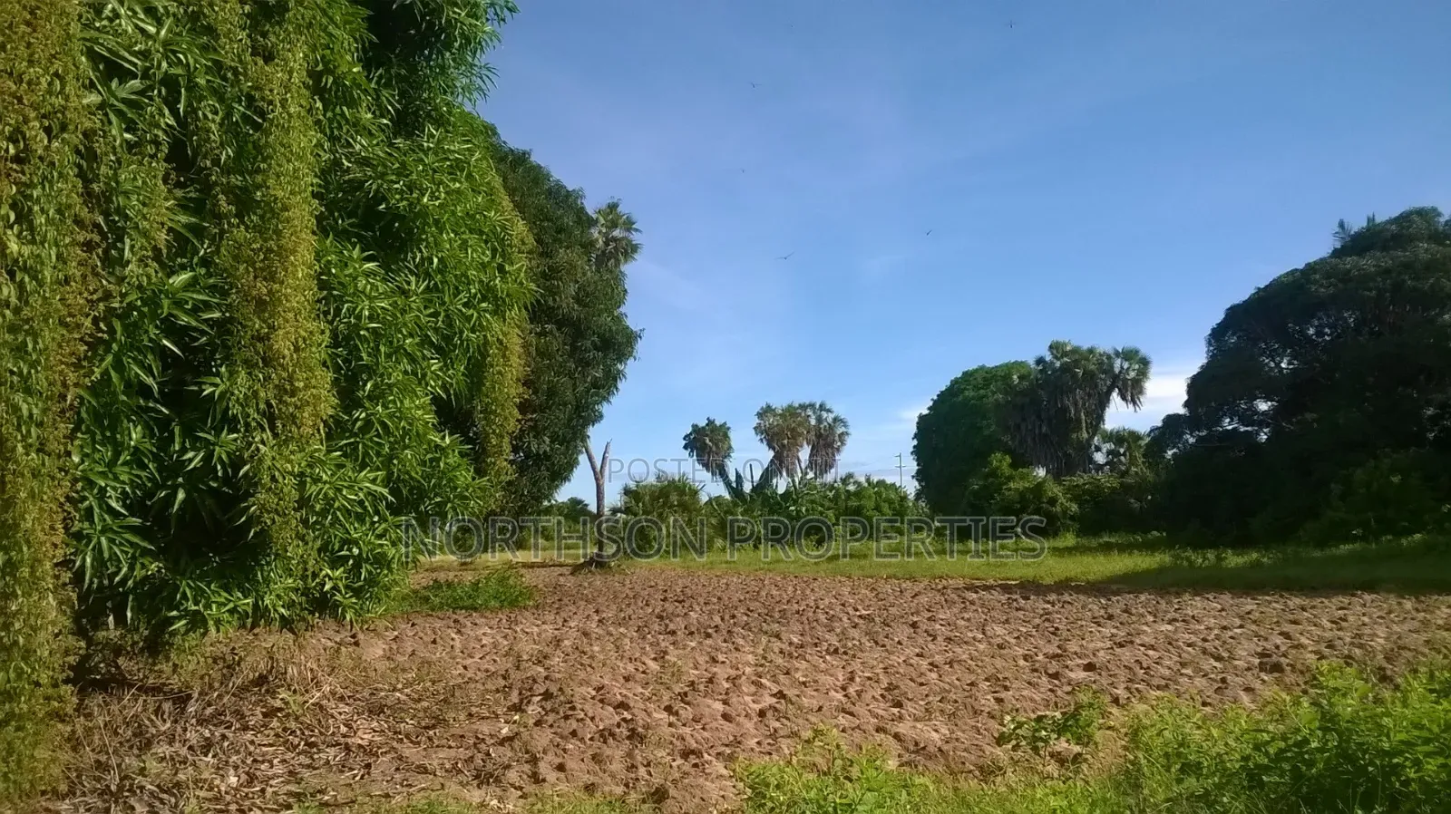Kiwanja Karibu Ya Beach
