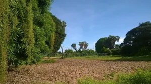 Kiwanja Karibu Ya Beach