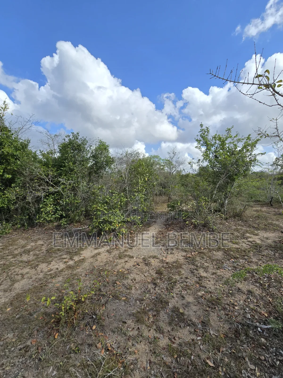 Shamba Ekari 55 Linauzwa Bagamoyo Kiwangwa Kijiji Cha Mkenge