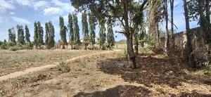 Plot for Sale Mbweni JKT