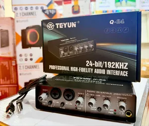 TEYUN Q-24 Audio Interface – USB Sound Card With XLR Inputs, Loopback