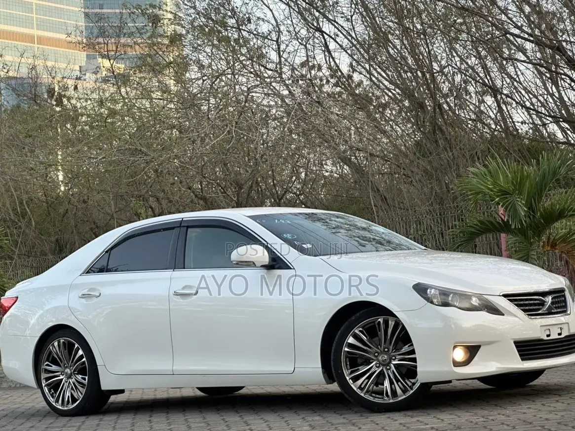 Toyota Mark X 2009 White