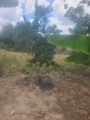 Nauza Mashamba Kwa Ajili Ya Kilimo Na Makazi