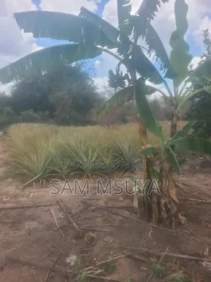 Nauza Mashamba Kwa Ajili Ya Kilimo Na Makazi
