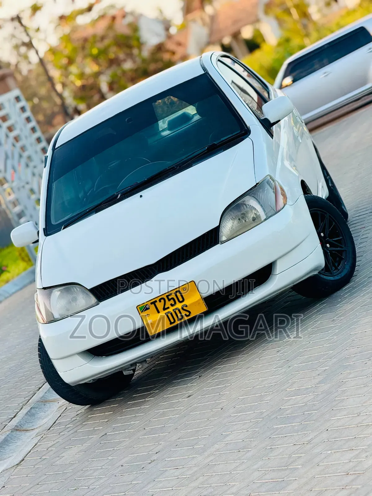 Toyota Platz 2002 Pearl