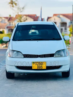 Toyota Platz 2002 Pearl