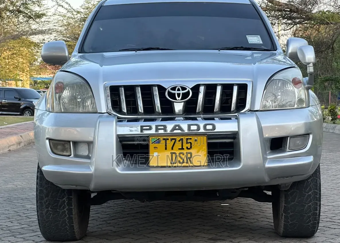Toyota Land Cruiser Prado 2004 Silver