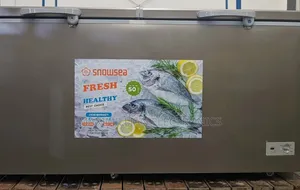 Snowsea Chest Freezer Liter 550