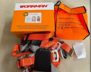 Workman Safety Harness