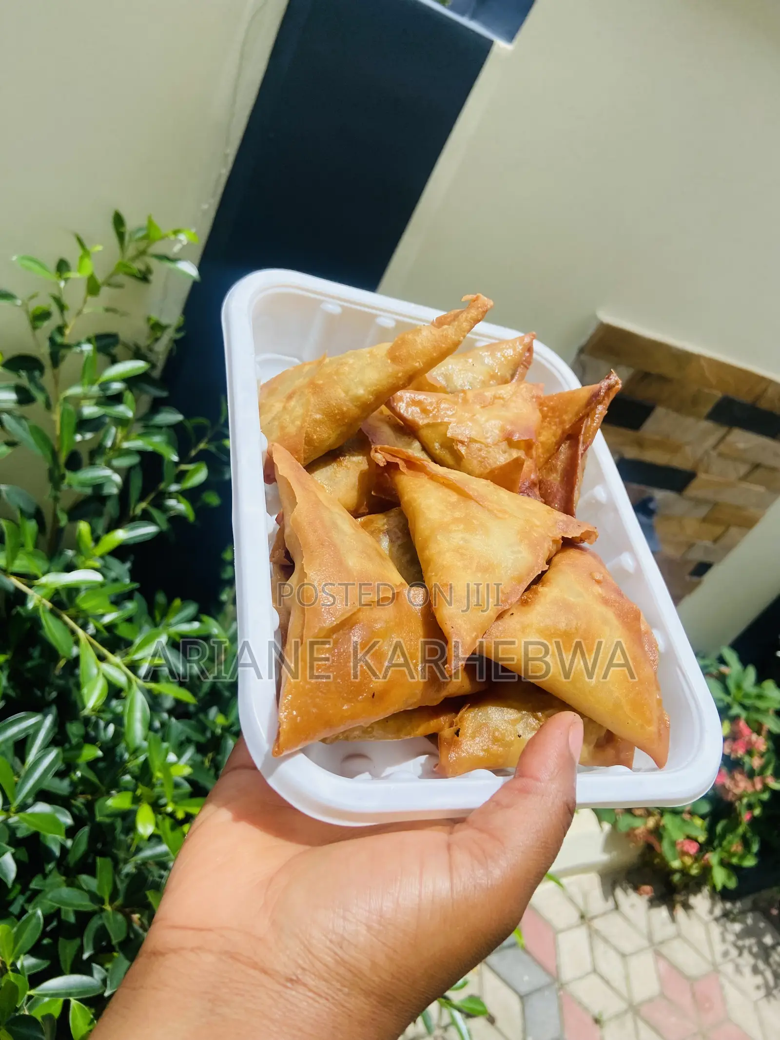 Frozen Bites