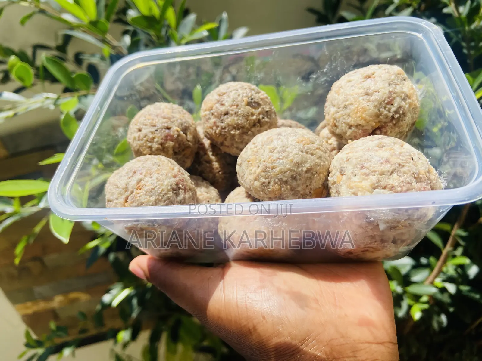 Frozen Bites