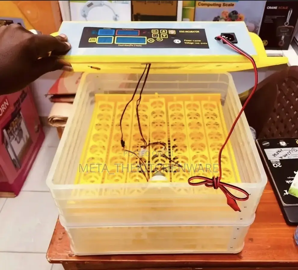 AUTOMATIC EGG INCUBATOR - 48 Eggs