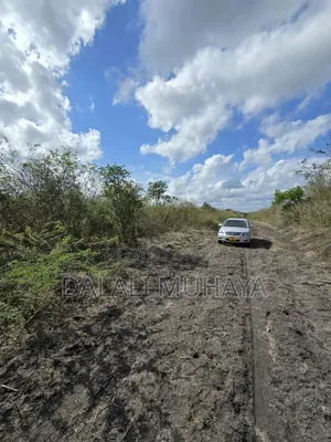 Shamba L I N a U Z W a TSH 495,000,000 Milioni