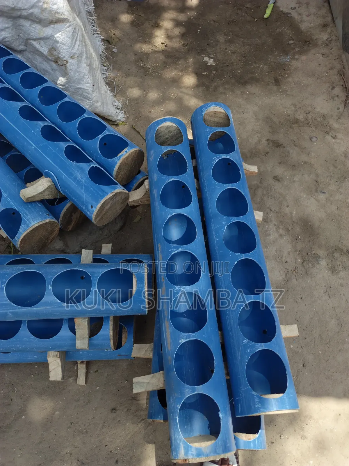 Feeder Zakulishia Kuku Bata Kanga