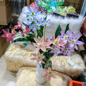 Maua and Vases