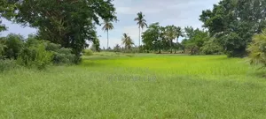 2174sqm for Sale Opposite Star Breeze Resort at Mbutu Kichangani