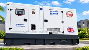 Royalty Japan Heavy Duty Diesel Generator (RT-200KVA)